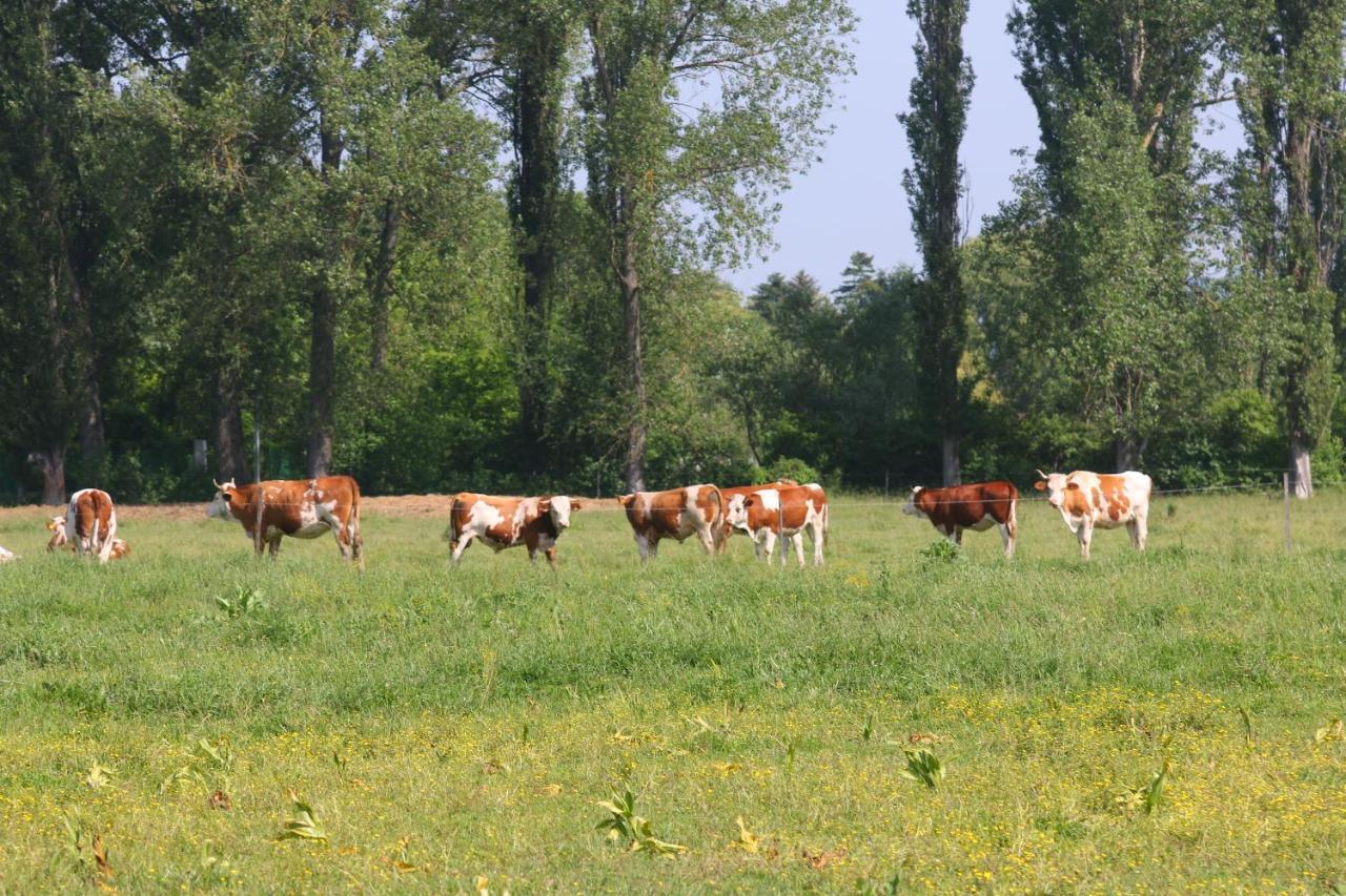 Gyulavezér Lovasbirodalma Gyulakeszi Exterior foto